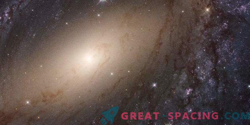 Scientists have released a full review of the UV light of nearby galaxies