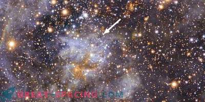 Las estrellas más rápidas de la Vía Láctea: fugitivos de otras galaxias