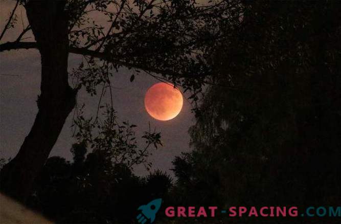 La impresionante luna de sangre golpeó el mundo: foto