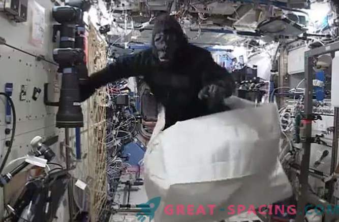 El astronauta bromeó con la ayuda de un disfraz de mono en la estación espacial