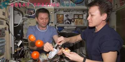 Cómo viven los astronautas de la ISS: rutina diaria, tiempo libre, sueño y comida