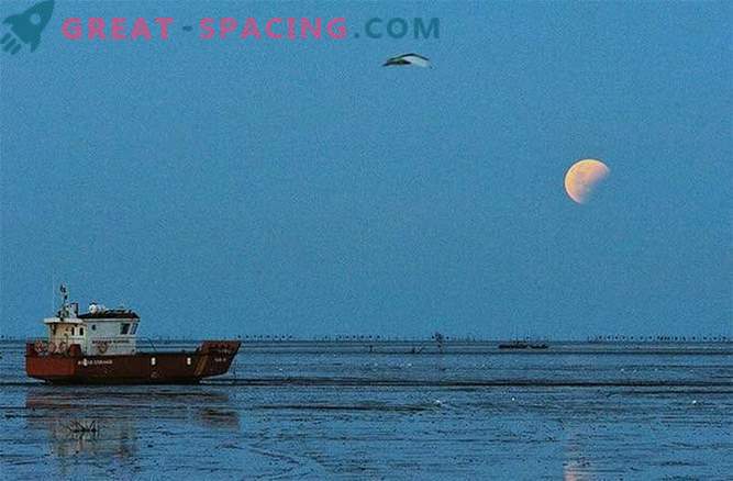 Una selezione delle migliori foto dell'eclissi lunare