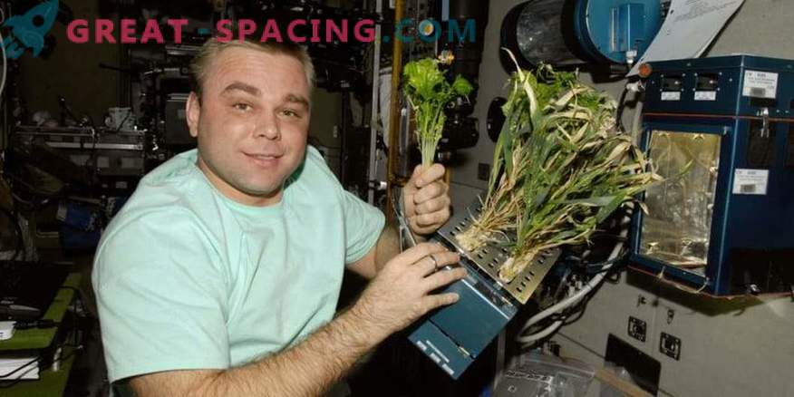 Experimento sobre el procesamiento de oxígeno en la ISS