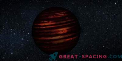 The brown dwarf was found to be an object of the planetary mass