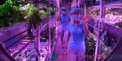 Voluntarios chinos abandonan la base lunar virtual