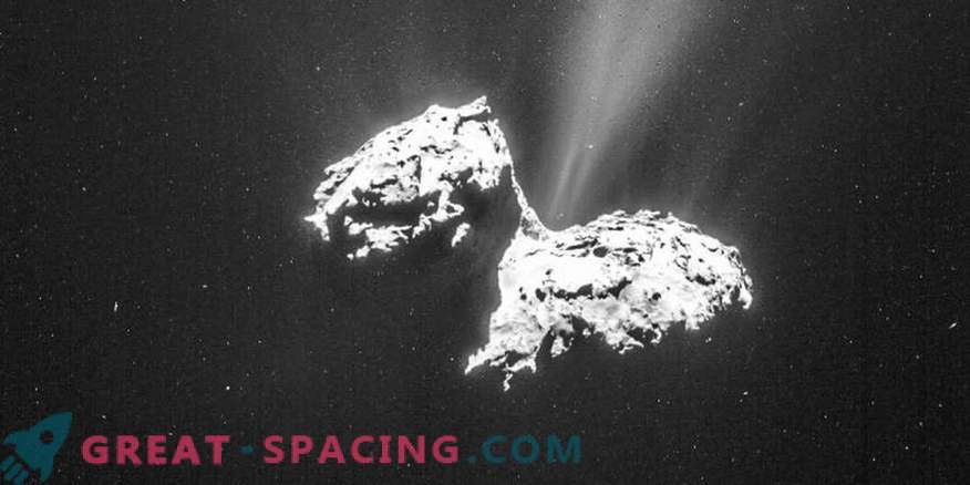 Forma extraña y variabilidad del cometa Rosetta 67P