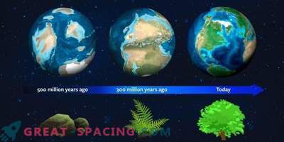 La Tierra ayudará a encontrar vegetación en otros planetas