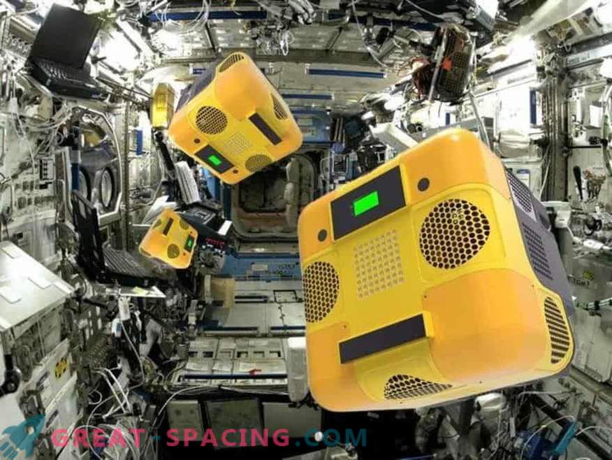 ¿Qué hacen las abejas robot en la estación orbital