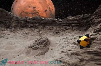 Los erizos pueden saltar alrededor del Sistema Solar