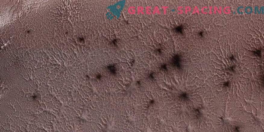 Las arañas marcianas posan para la NASA